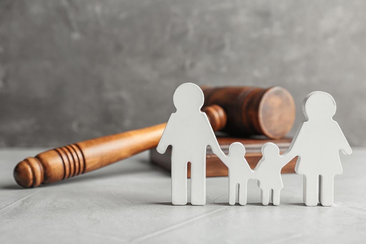 Tema Contenido Ganador ¿Adopción GAY: Si o No?