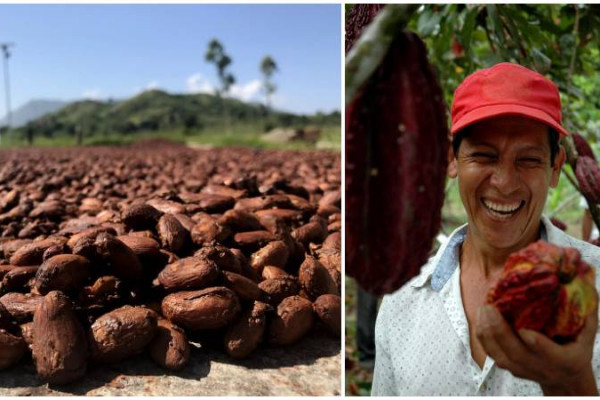 los mejores destinos turisticos en colombia para conocer y hacer una ruta del cacao